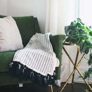 5 astuces pour ne plus tuer ses plantes d'intérieur 5 astuces pour ne plus tuer ses plantes d'intérieur