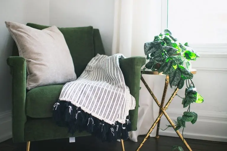 5 astuces pour ne plus tuer ses plantes d'intérieur