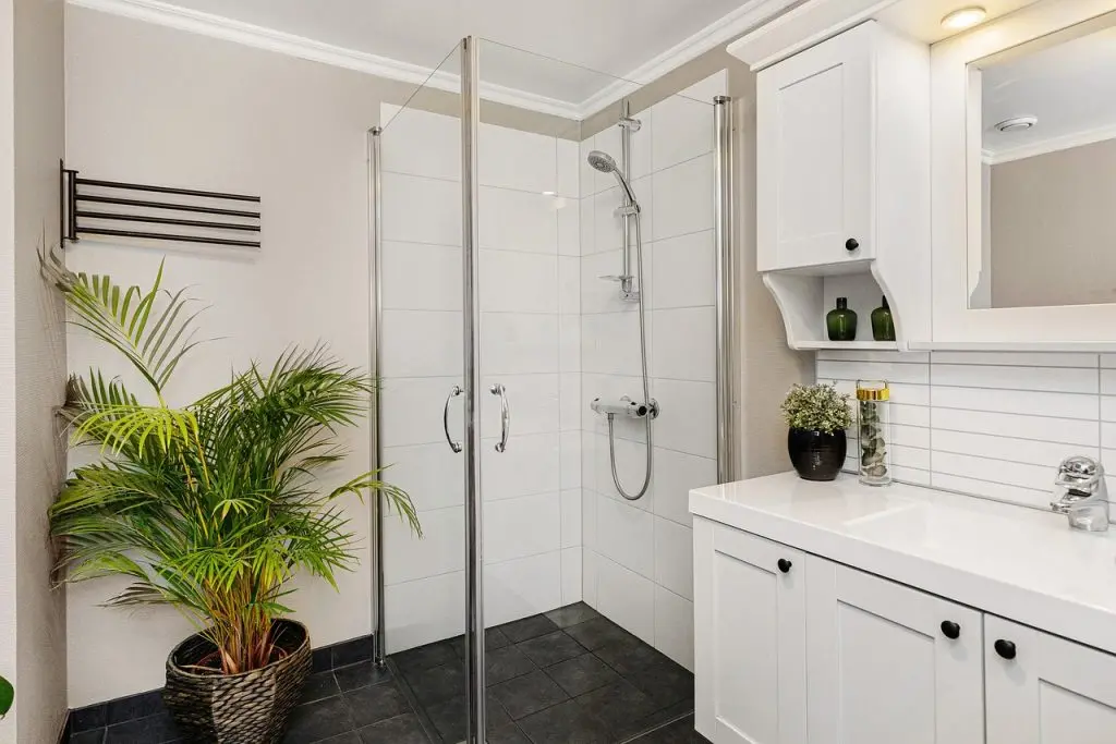 plante verte salle de bain