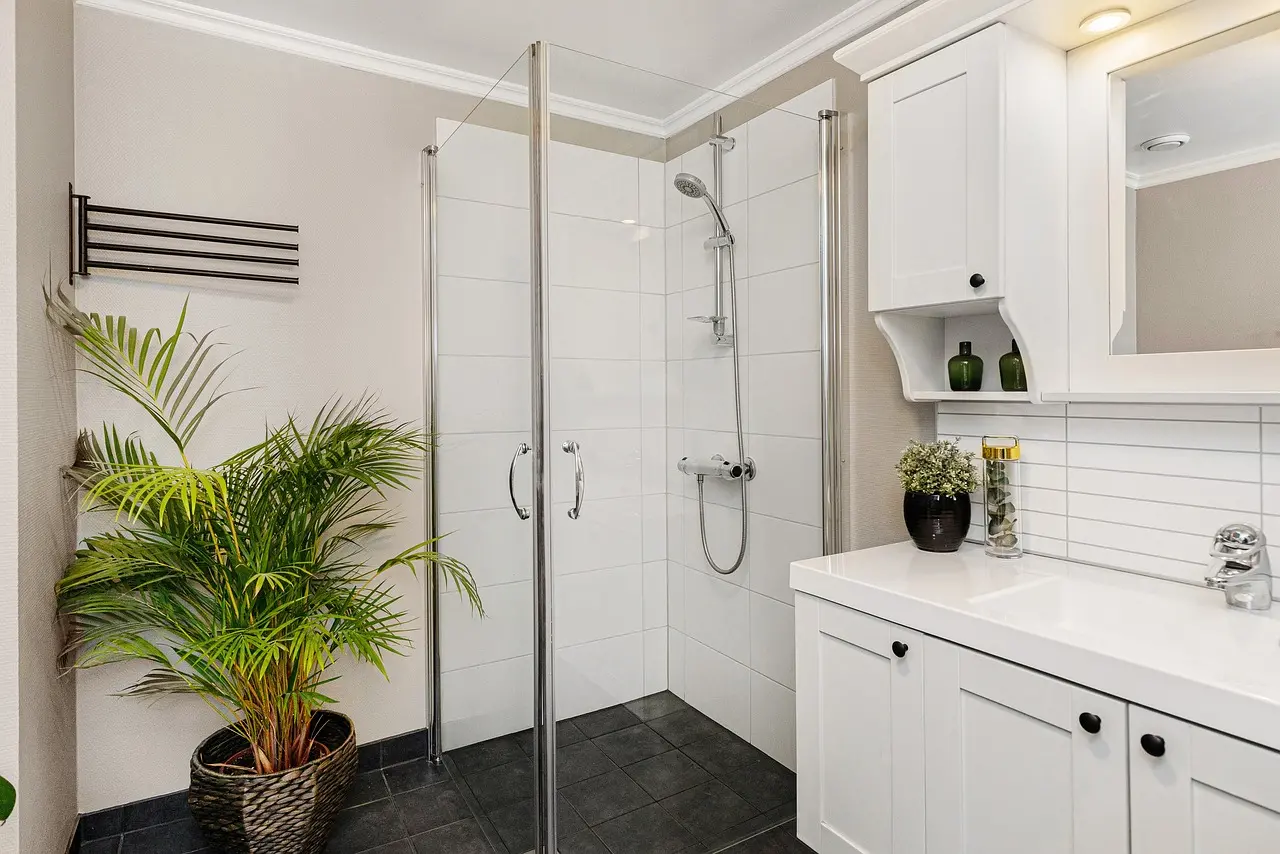 plante verte salle de bain