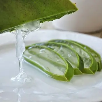 Quels sont les bienfaits de l’Aloe Vera en cosmétique? bienfaits de l’Aloe Vera