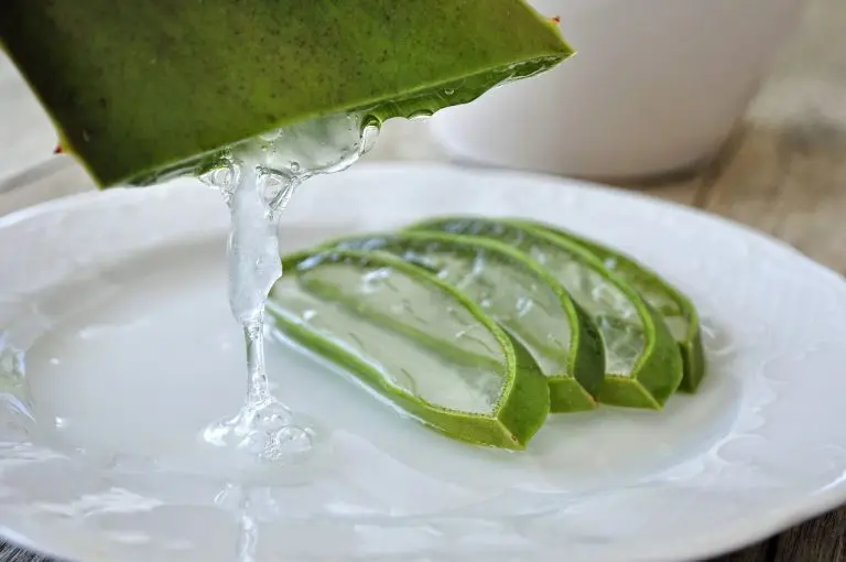 bienfaits de l’Aloe Vera